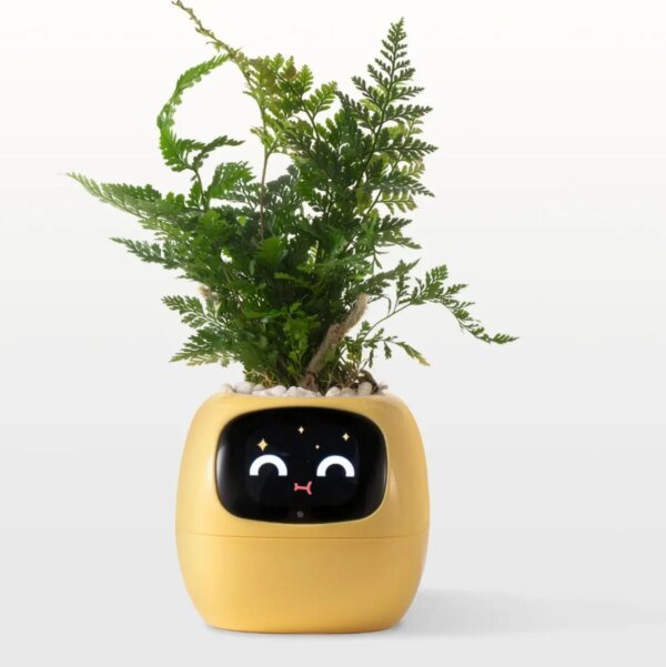 Smart Planter | 49+ Expressions, 7 Sensors & AI Chips for Easy, Fun Plant Care - Image 2