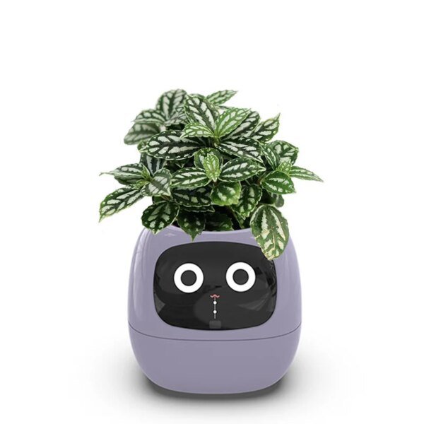 Smart Planter | 49+ Expressions, 7 Sensors & AI Chips for Easy, Fun Plant Care - Image 5